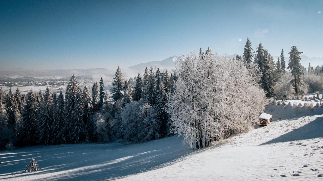 Willa Pachowka - Tam, Gdzie Natura Spotyka Sie Z Nowoczesnoscia Bukowina Tatrzańska Exteriör bild